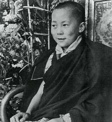 
Young Dalai Lama - The 14th Dalai Lama (A&E Biography) book
